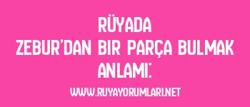 Rüyada Zebur’dan Bir Parça Bulmak Anlamı:
