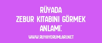 Rüyada Zebur Kitabını Görmek Anlamı: