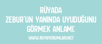 Rüyada Zebur’un Yanında Uyuduğunu Görmek Anlamı: